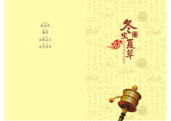&#29699;&#36895;&#20307;&#32946;&#40;&#20013;&#22269;&#41;&#23448;&#26041;&#32593;&#31449;&#45;&#119;&#101;&#108;&#99;&#111;&#109;&#101;